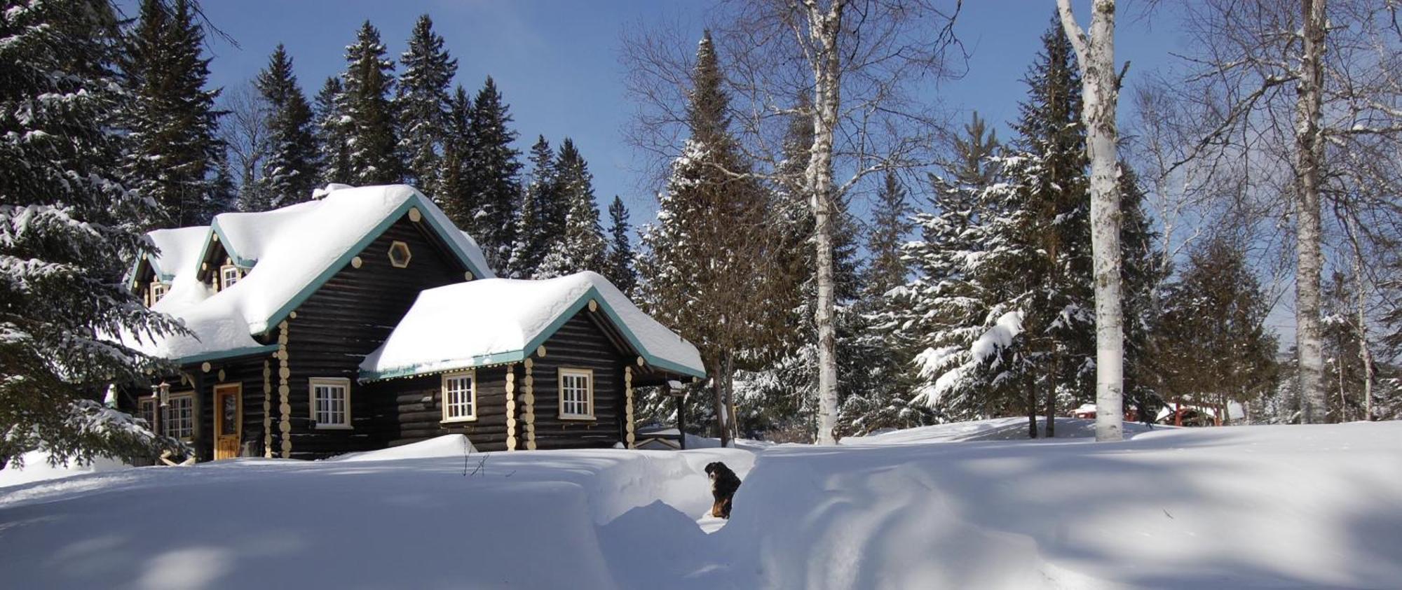 Domaine Le Bostonnais - Le Village En Bois Rond Ла Тук Екстериор снимка