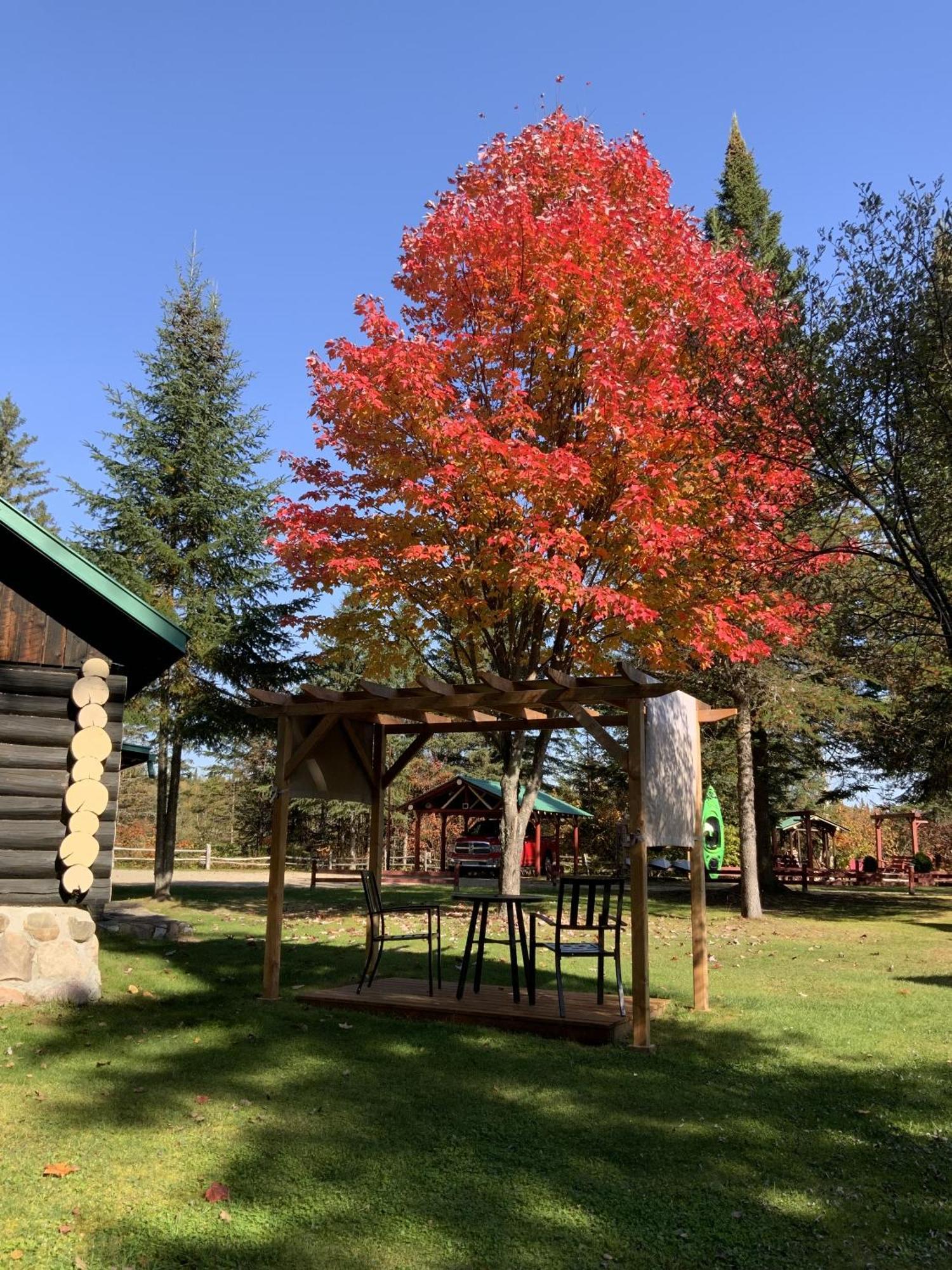 Domaine Le Bostonnais - Le Village En Bois Rond Ла Тук Стая снимка