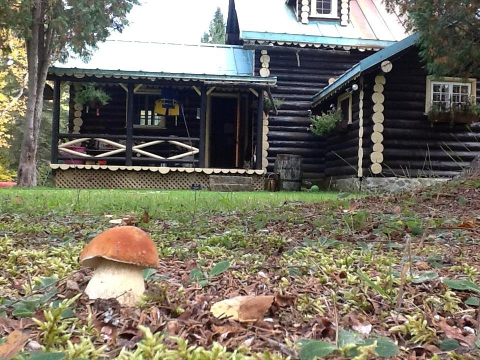 Domaine Le Bostonnais - Le Village En Bois Rond Ла Тук Екстериор снимка